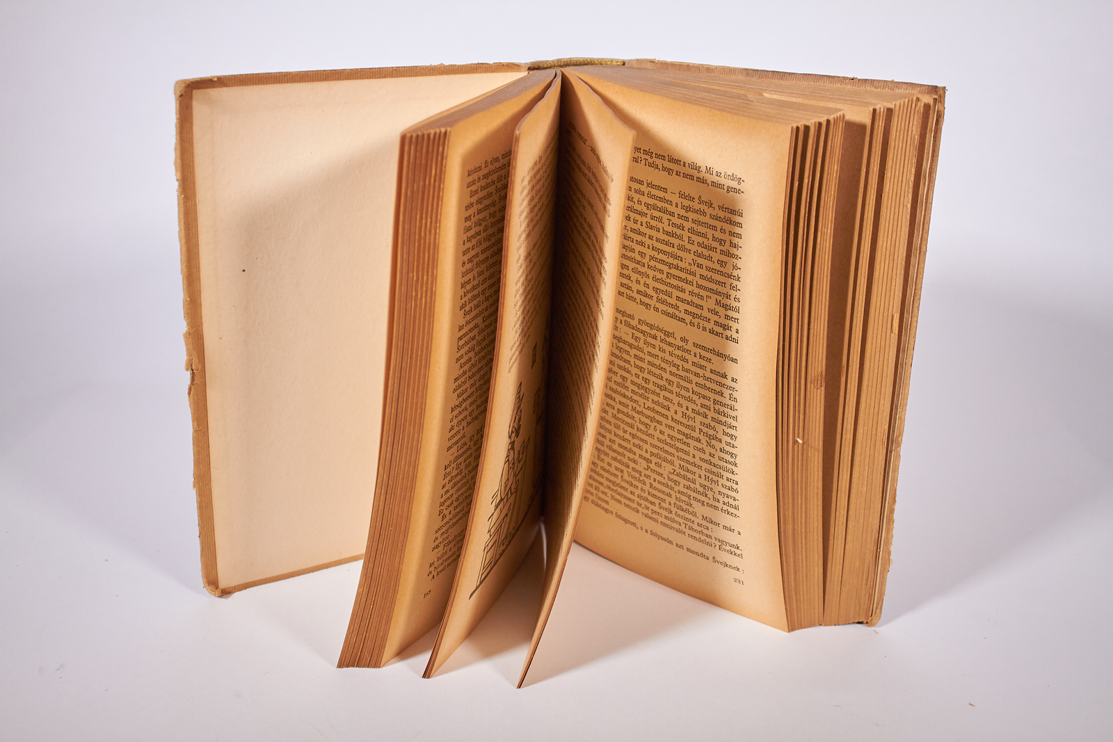 jaroslav hasek svejk_2