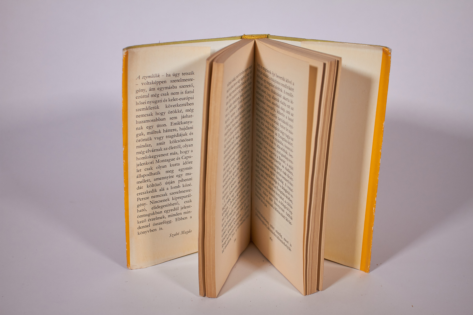 szabó magda a szemlélők_2